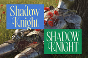 Bright Renew Modern Serif Display, a Serif Font by timelesstype.co (Thumbnail 12 of 20)