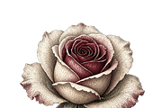 ETARA Vintage Holiday Studio, an Object Graphic by ETARA by Mea Hau (Thumbnail 28 of 94)