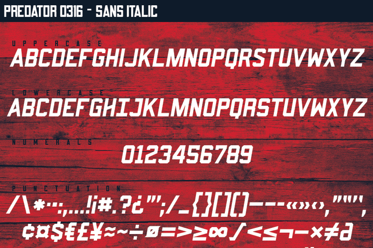 Predator 0316 - Full Family, a Sans Serif Font by Eargle Design, LLC (Photo 9 of 20)