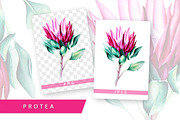 5 illustrations flower color mix, a Decorative Illustration by Integrity_store (Thumbnail 9 of 11)
