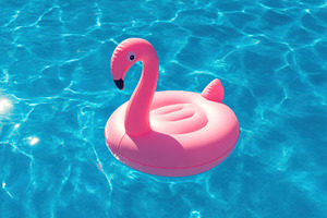 Inflatable flamingo floating in pool, a Holiday Photo by Virgo Studio