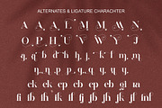 Magich Modern Serif Typeface, a Serif Font by Alfinart (Thumbnail 9 of 10)