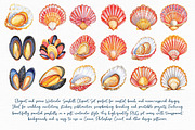 Watercolor Seashell Clipart Set, an Illustration by Libby Wishes (Thumbnail 3 of 7)