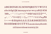 CS Delmar Mix, a Serif Font by Craft Supply Co. (Thumbnail 8 of 8)