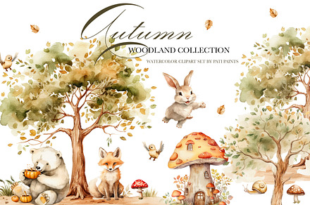 Autumn Woodland Animals Collection, an Animal Illustration by Pati Paints