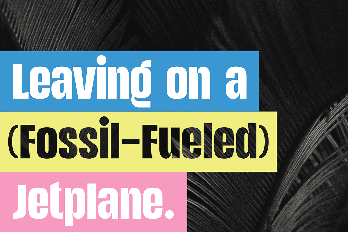 Eighty Grams | Condensed Sans, a Sans Serif Font by Twicolabs Fontdation (Photo 2 of 10)