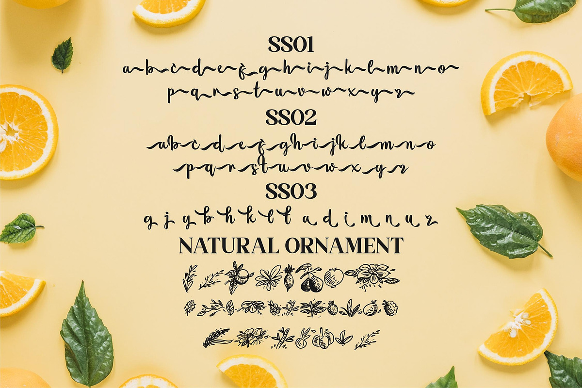 Flourissha Script LS, a Script Font by GranzCreative (Photo 14 of 20)