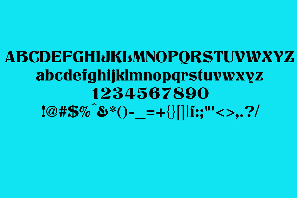 Nephelium Musa | Nice Font, a Serif Font by Scandy Font (Photo 6 of 8)