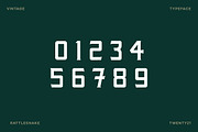 Rattlesnake - Vintage Serif Font, a Serif Font by Creative Type (Thumbnail 10 of 13)