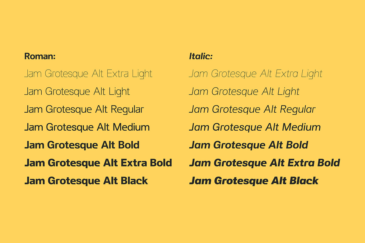 Jam Grotesque Alt, a Sans Serif Font by JAM Type (Photo 10 of 11)