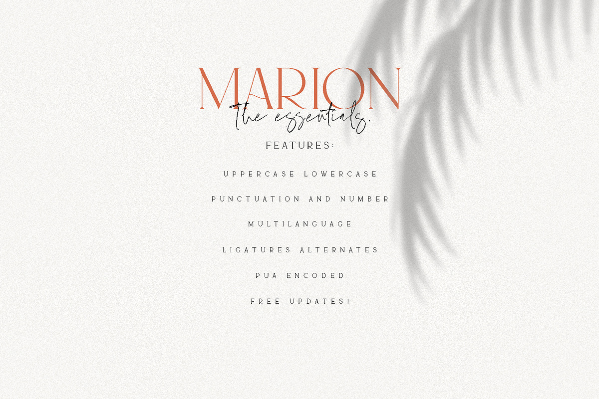 MARION & The Essentials - Logo Font, a Serif Font by Emtheen Std. (Photo 9 of 9)