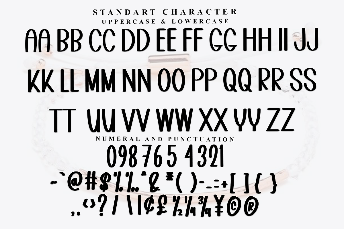 Point Beach, a Script Font by FreshTypeINK (Photo 4 of 7)