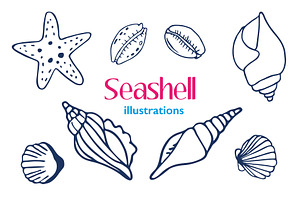 Seashell Illustrations