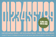 Santa Rosa Vintage Font Duo, a Sans Serif Font by Molly Suber Thorpe (Thumbnail 4 of 15)