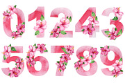 Watercolor tropical hibiscus flowers, an Object Illustration by Hanna Hryharenka (Thumbnail 10 of 18)