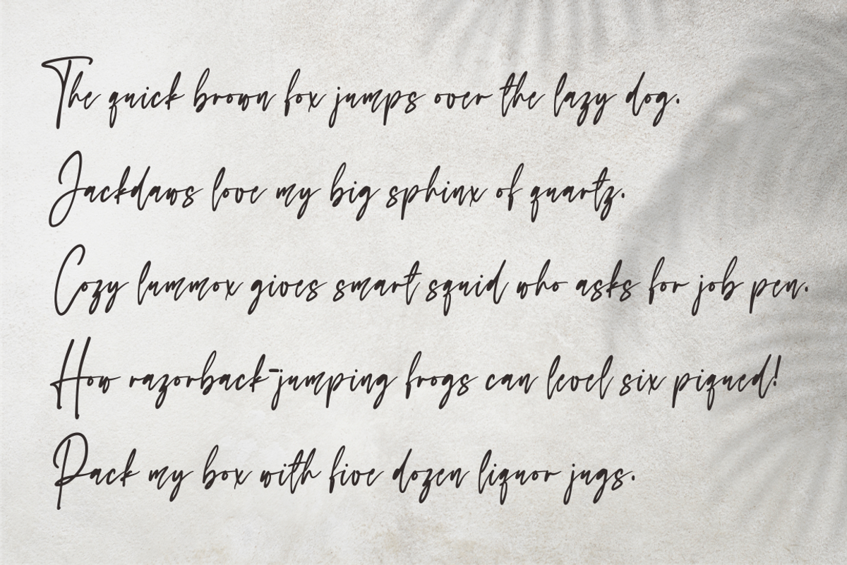 Lampard Signature, a Script Font by NJ Studio (Photo 7 of 8)