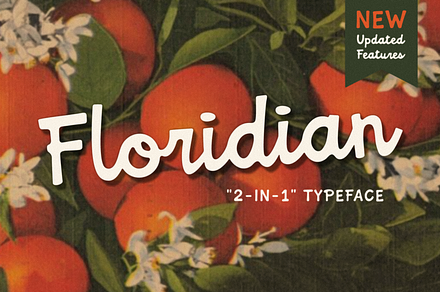 Floridian 2.0, a Script Font by Bruised Goods