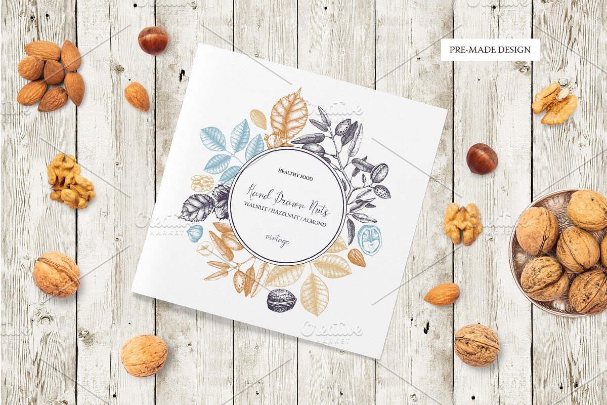 Hand-Drawn Nuts Sketches, a Food Illustration by Yevheniia (Photo 10 of 12)