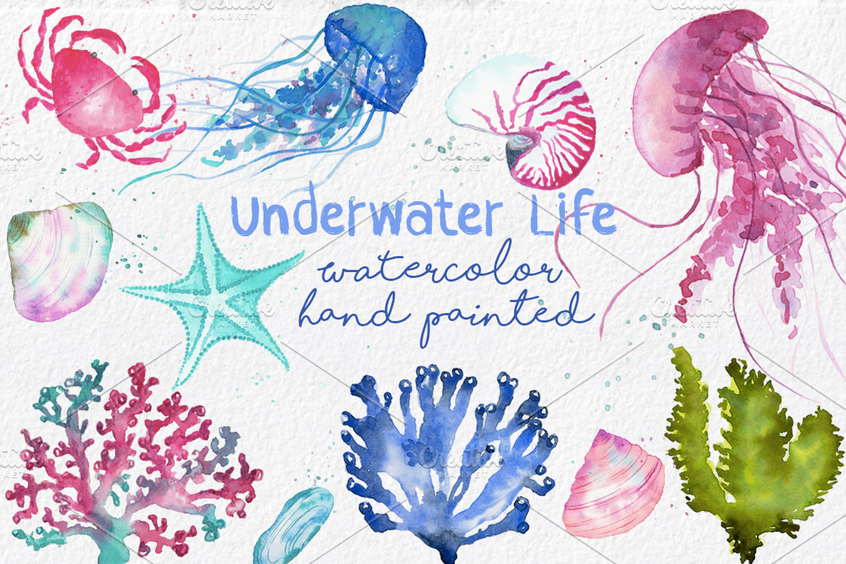 Underwater Life ClipArt Watercolor, an Animal Illustration by MaraquelaStudio (Photo 1 of 6)