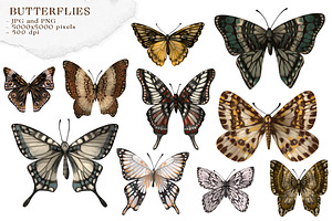 Butterflies SET And Patterns