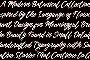 Mekar - Logotype, a Script Font by ShowUp! Studio (Thumbnail 13 of 13)