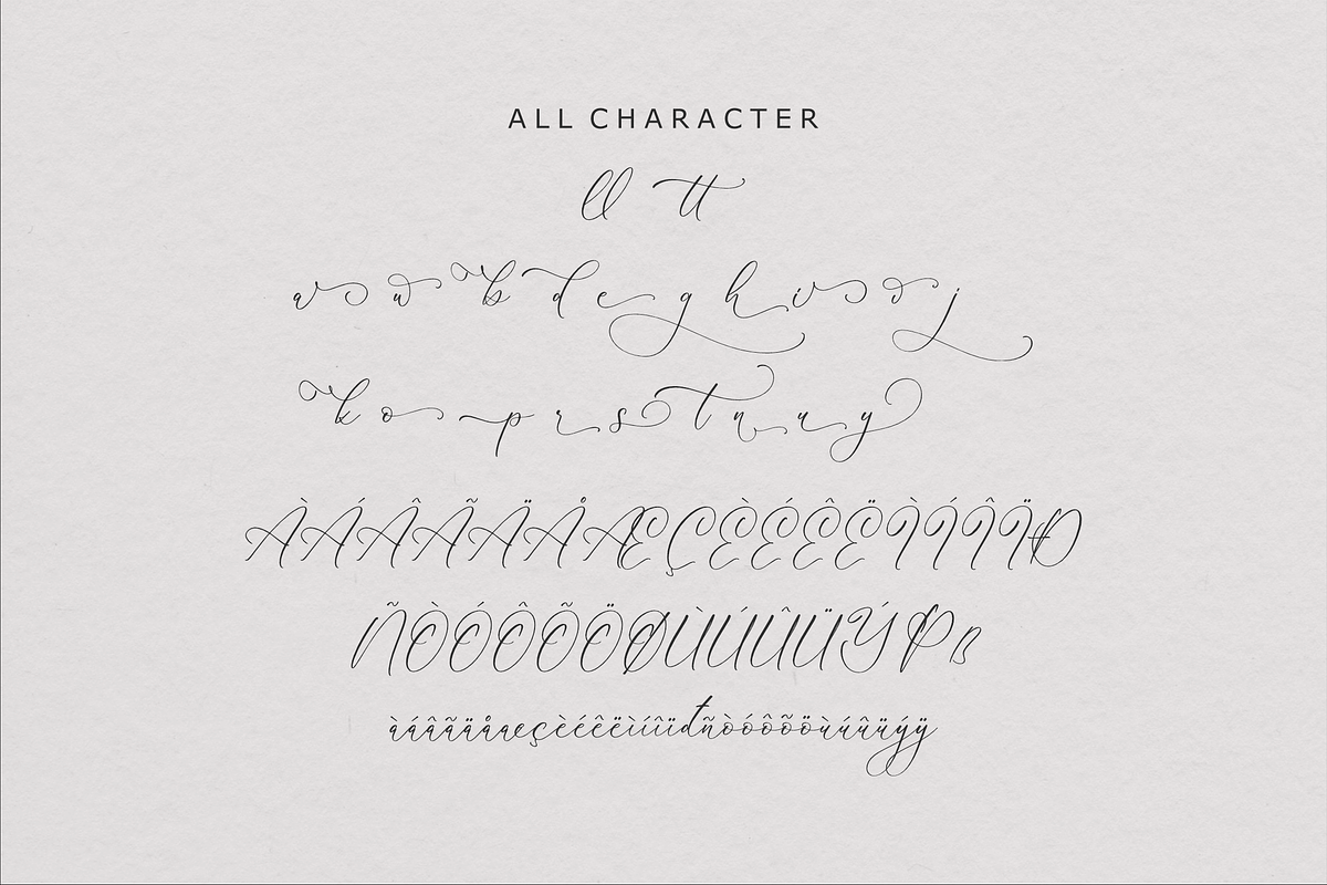 Handesa Mornites Elegant Script, a Script Font by Storytype Studio (Photo 14 of 15)