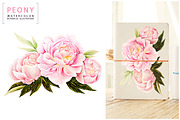 5 illustrations flower color mix, a Decorative Illustration by Integrity_store (Thumbnail 2 of 11)