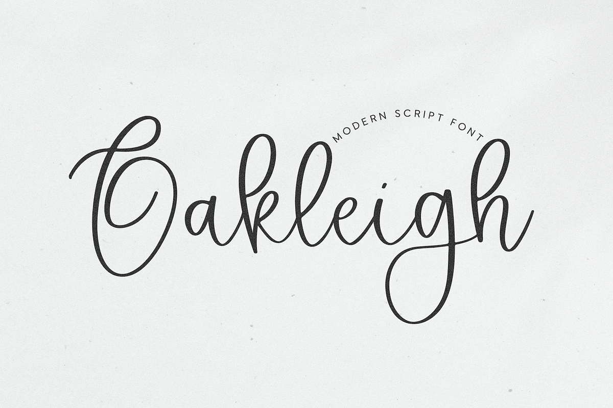Oakleigh | Modern Script Font, a Script Font by KA Designs (Photo 1 of 11)