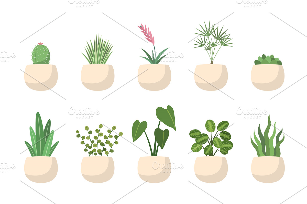 Trendy indoor growth green plant in, a Decorative Illustration by studioworkstock