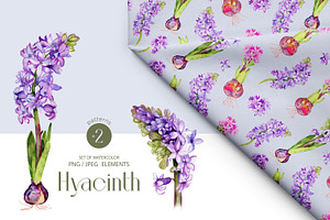 Watercolor Spring Hyacinth Clipart