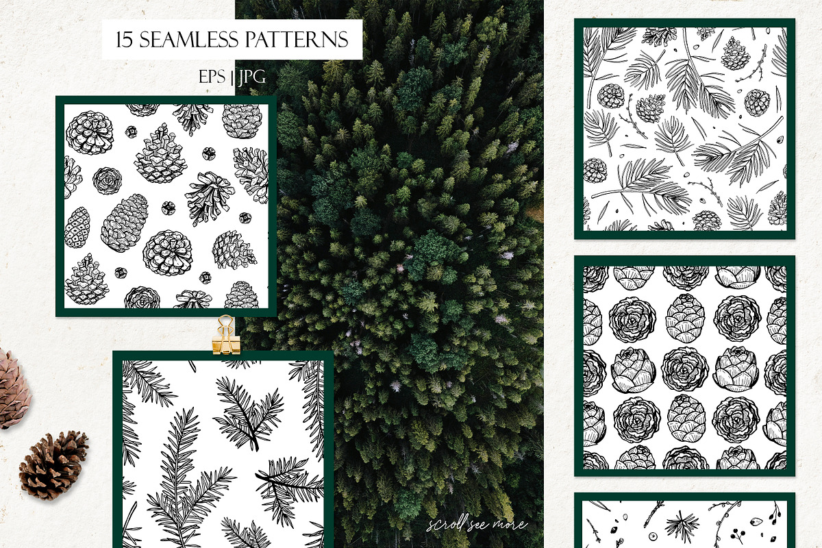 Pine forest line art collection, an Illustration by AfonshinaArt (Photo 6 of 9)