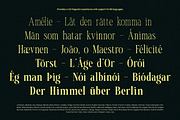 TBJ Malibu Condensed Display Font, a Serif Font by Taboja Studio (Thumbnail 21 of 22)