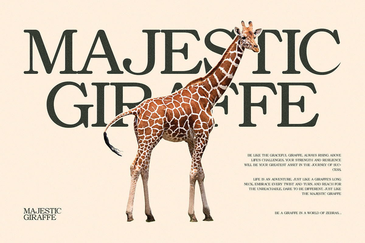 Asher Elegant Serif Font Typeface, a Serif Font by Perfectype (Photo 5 of 10)
