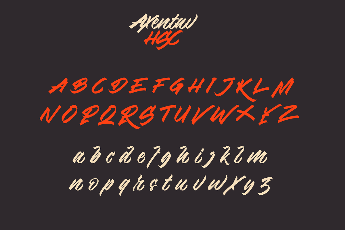 Axentav HSC, a Script Font by ilhamtaro (Photo 8 of 11)