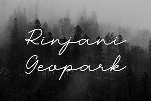 Madore - Modern Script Font