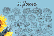 Hand drawn floral elements, a Decorative Illustration by Wander Designs (Thumbnail 7 of 8)