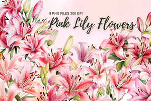 Pink Lily Flowers Watercolor Clipart