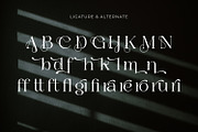 Barefuel - Serif Typeface Font, a Serif Font by Rishsketch (Thumbnail 12 of 15)