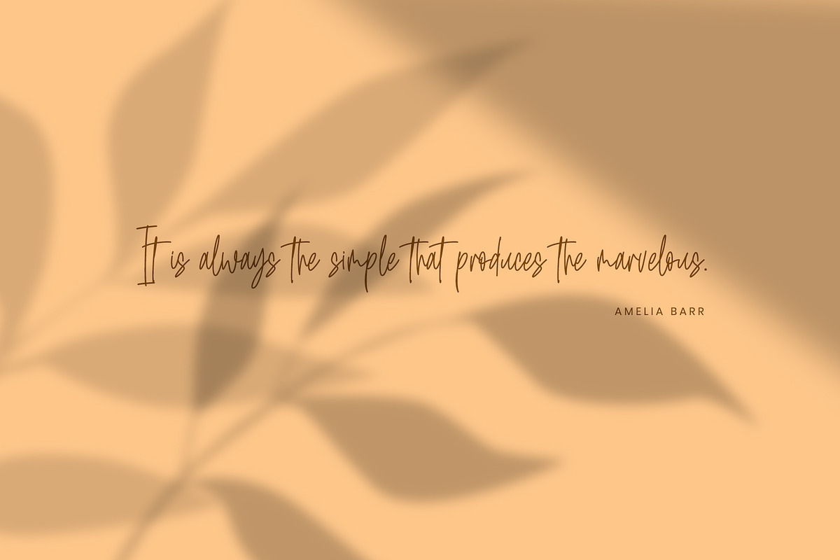 Ballest - Monoline Signature Font, a Script Font by Azcreative Studio (Photo 2 of 9)
