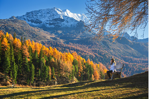 Woman sitting on a bench in autumn, a Person Photo by den-belitsky