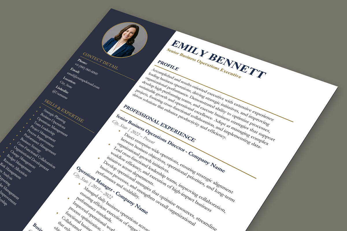 Professional Resume Template, a Resume Template by Anjum Ilyas (Photo 6 of 7)