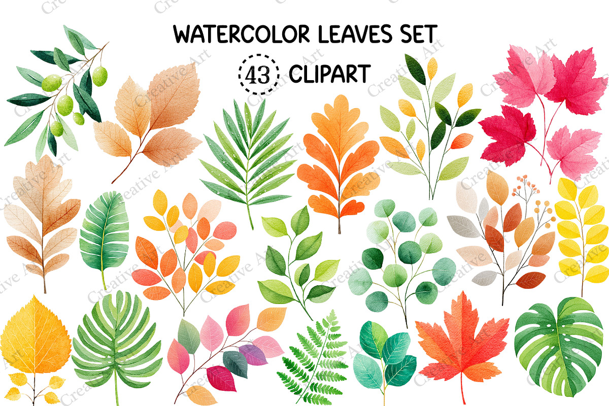 Watercolor Leaves Clipart Set, an Illustration by Creative Art (Photo 1 of 10)