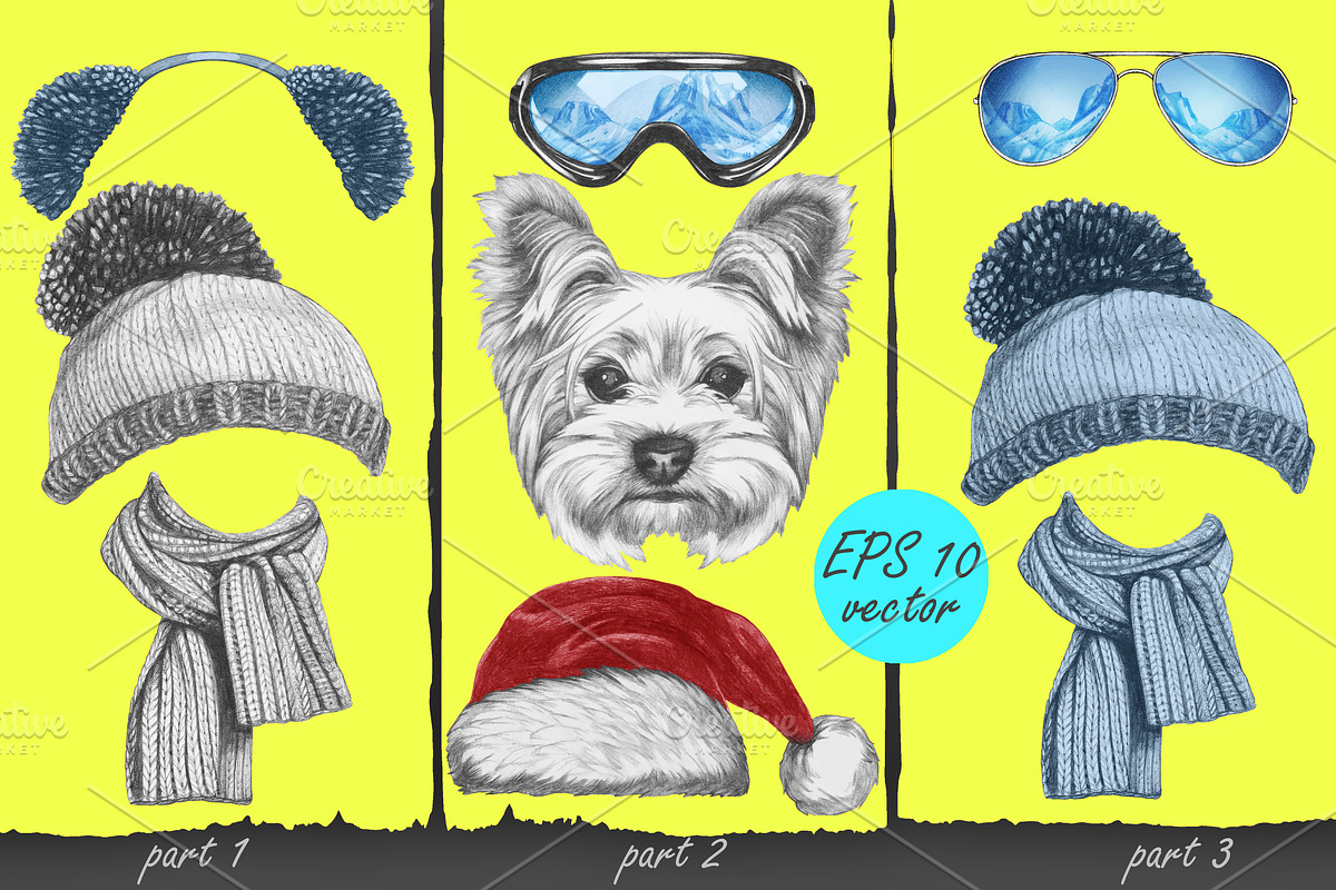 Yorkshire terrier / Wintertime, an Animal Illustration by Victoria_Novak (Photo 3 of 3)