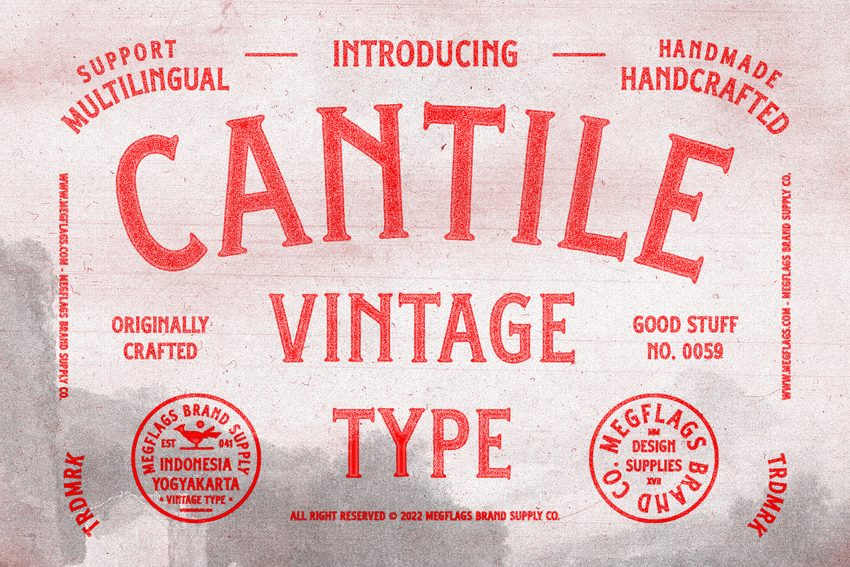 Cantile Vintage, a Sans Serif Font by Megflags (Photo 1 of 5)