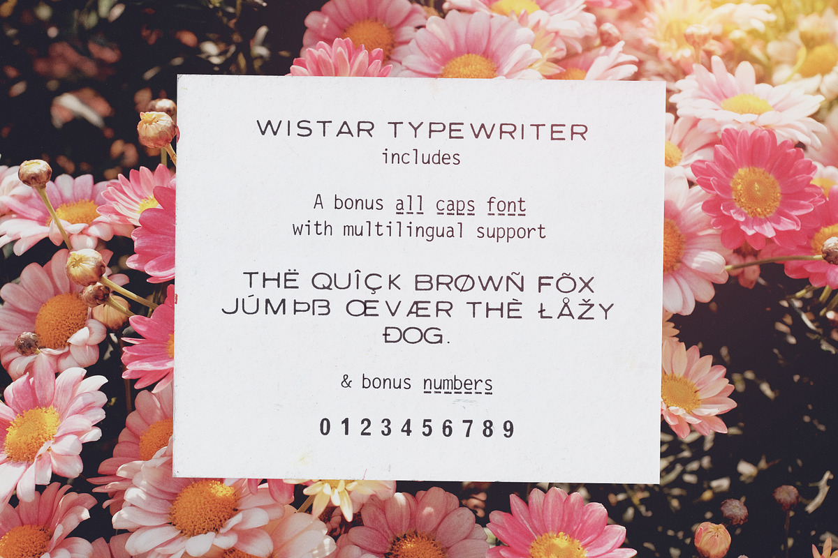 Wistar Typewriter SVG Font Family, a Sans Serif Font by Ana's Fonts (Photo 5 of 11)