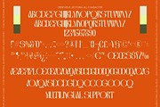 Genevieve Victoria Display Serif, a Serif Font by timelesstype.co (Thumbnail 10 of 10)