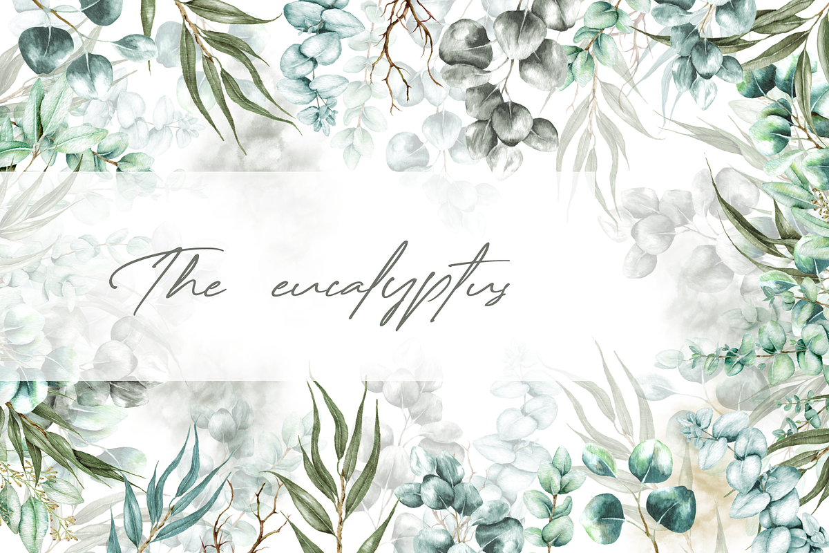 Eucalyptus Watercolor Illustrations, a Decorative Illustration by DioFlow (Photo 1 of 11)