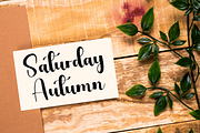 Skylight, a Handwritten Font by FreshTypeINK (Thumbnail 8 of 8)