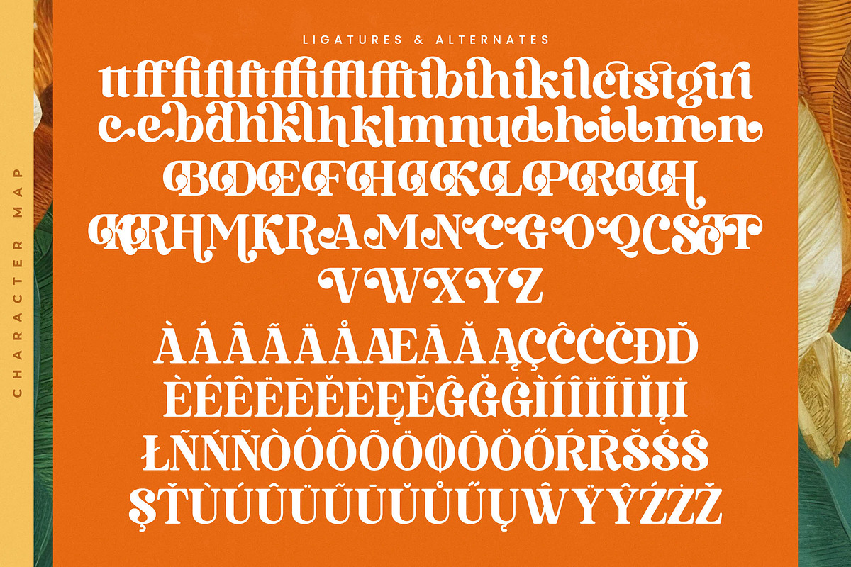 Bruge Vibes Bold Display Serif, a Serif Font by timelesstype.co (Photo 19 of 20)