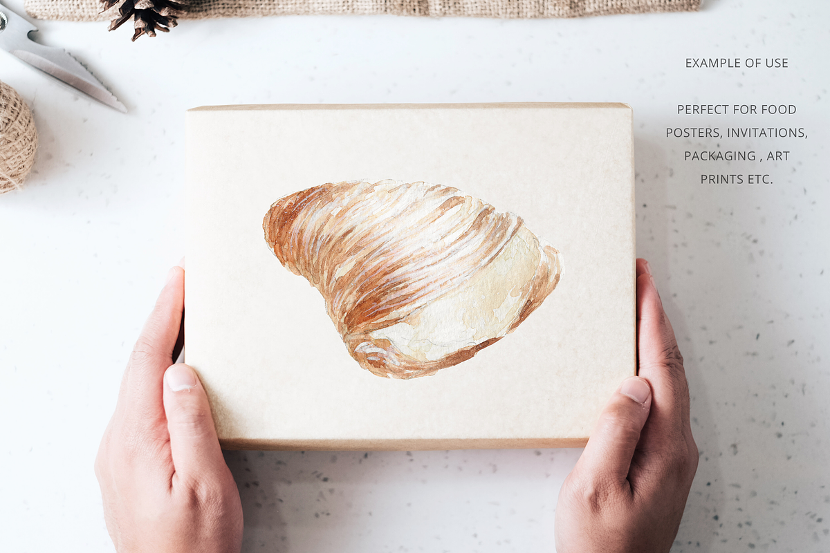 Hand Drawn Sfogliatella Dessert, a Food Illustration by Kolorata Art (Photo 3 of 3)